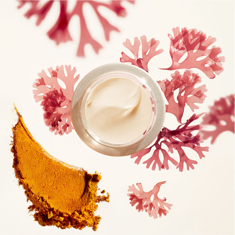 Wrinkle Smoothing Day Cream SPF 23,