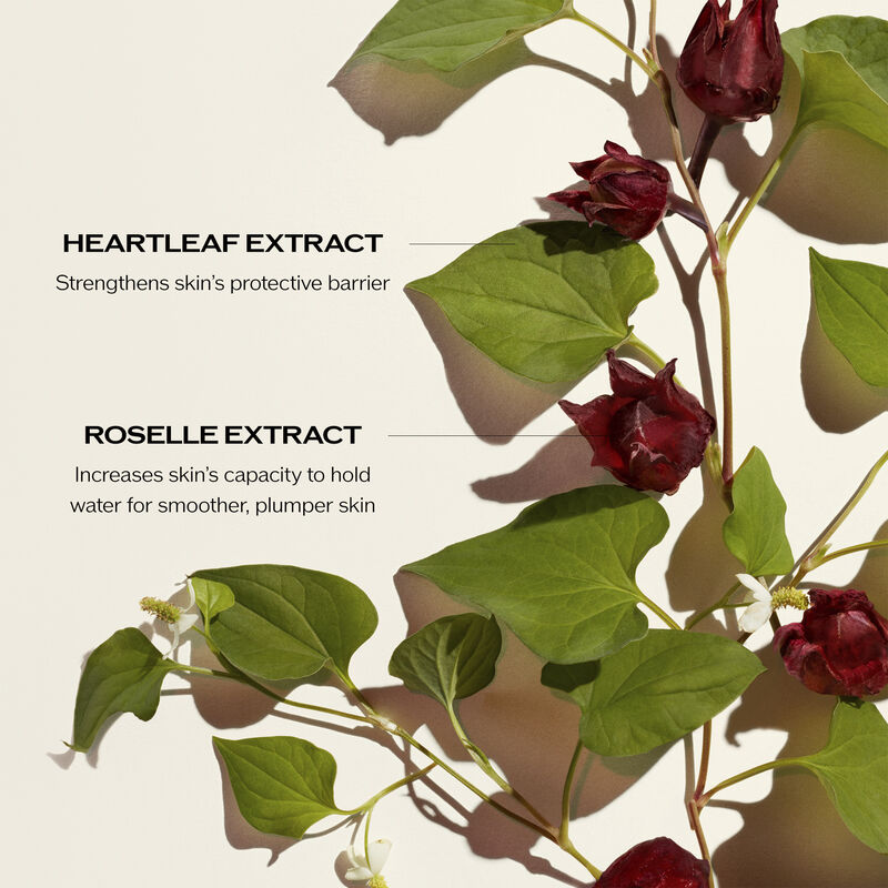 Radiance & Resilience Ritual Set (valor de -$235,