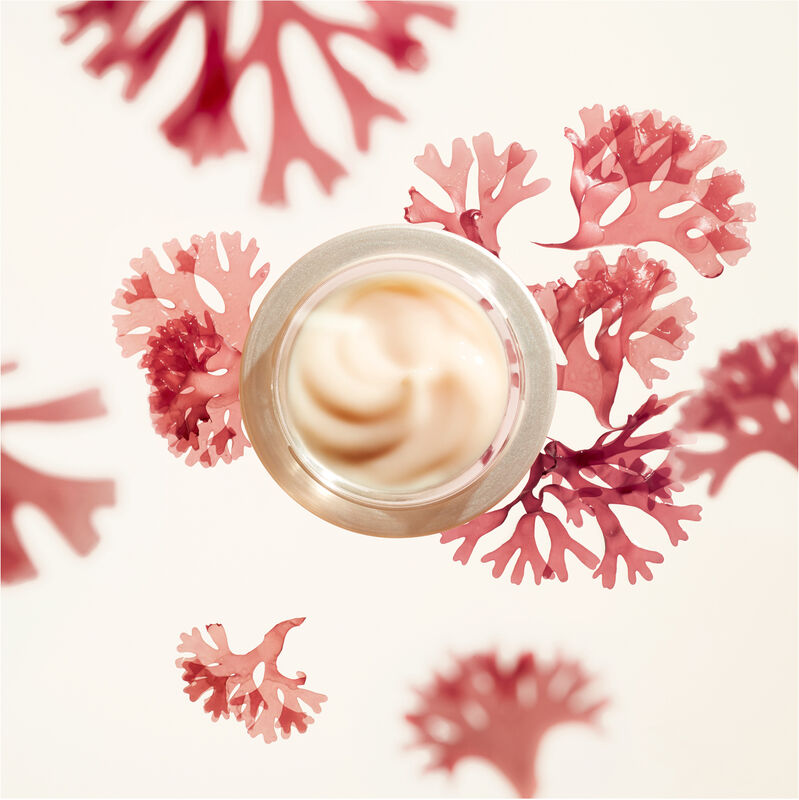 Wrinkle Smoothing Cream,