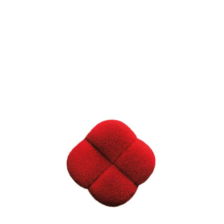 HANATSUBAKI  HAKE Polishing Face Brush,