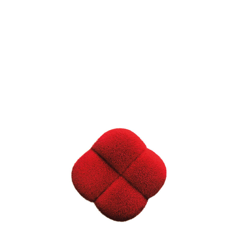 HANATSUBAKI  HAKE Polishing Face Brush,