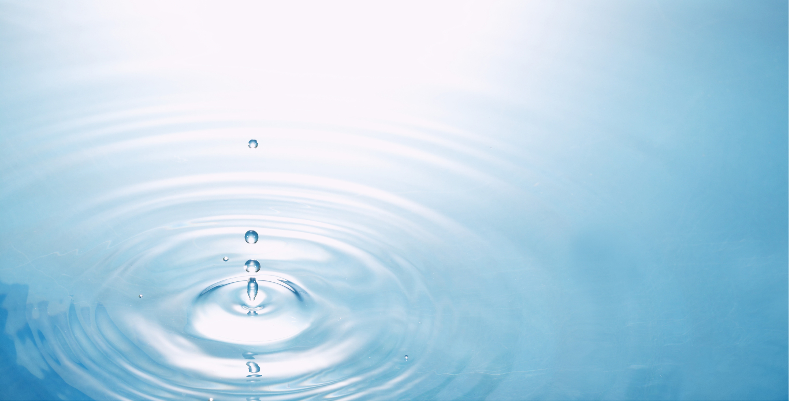 Ingrediente: Agua de los manantiales de Kirishima