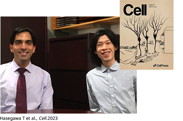 Hasegawa, T. et al., Cell, 2023