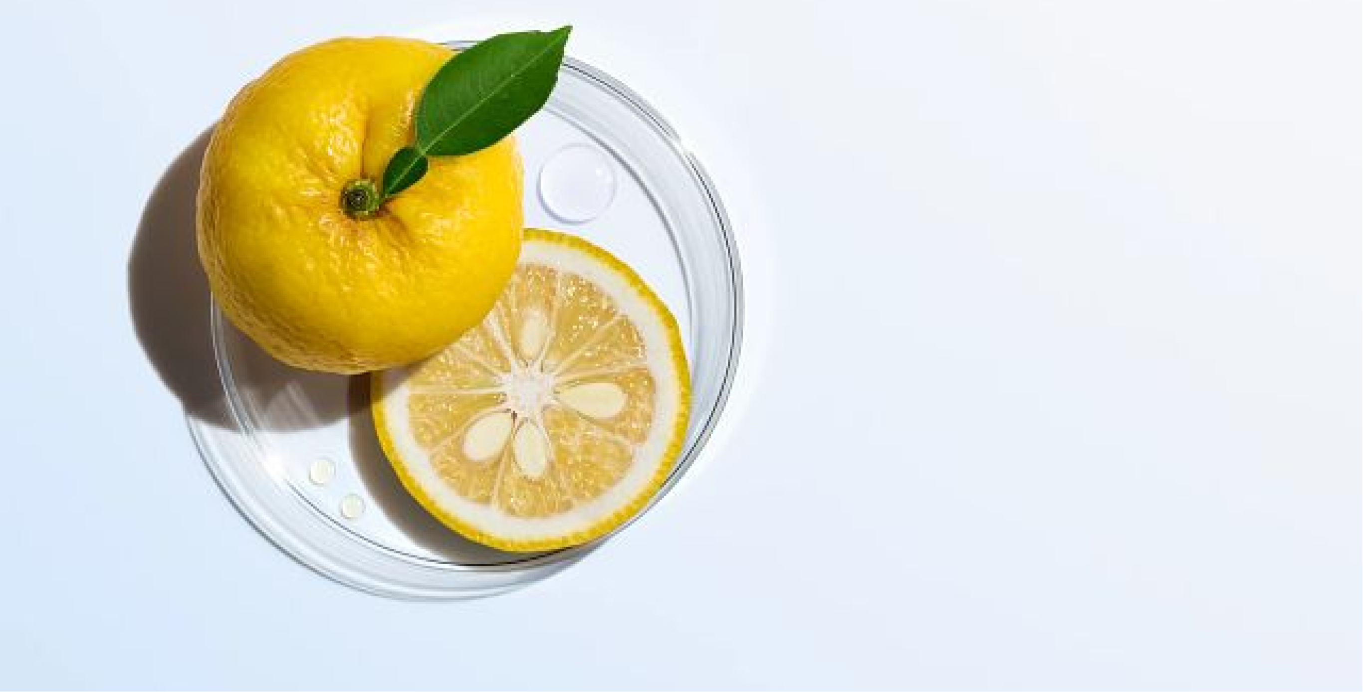 Ingrediente: Extracto de yuzu, cítrico japonés de Koch