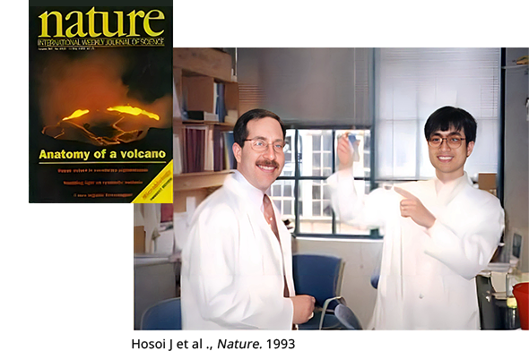 Hosoi, J. et al., Nature, 1993