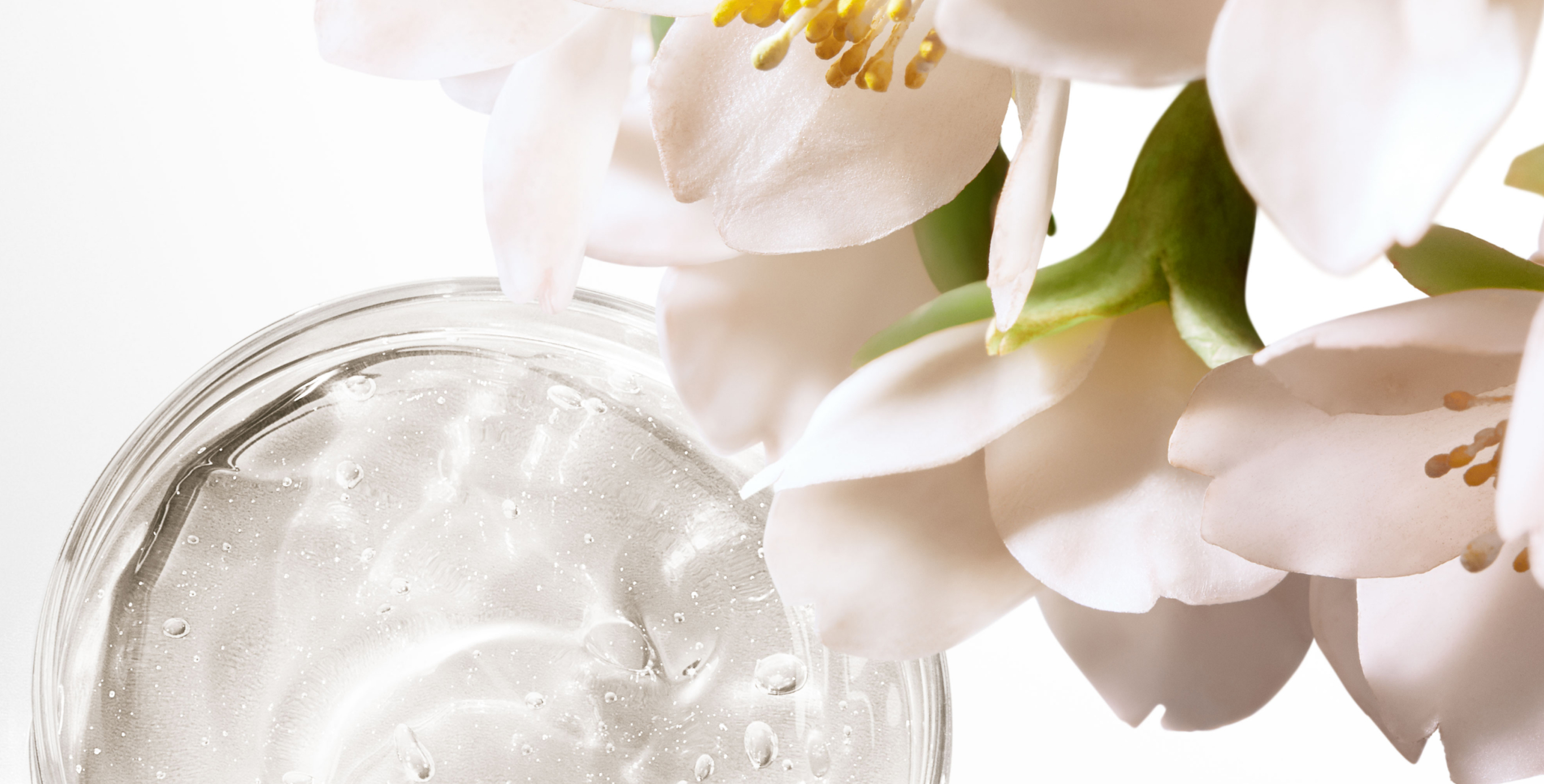 Ingrediente: 4MSK y extracto de fruta de rosa