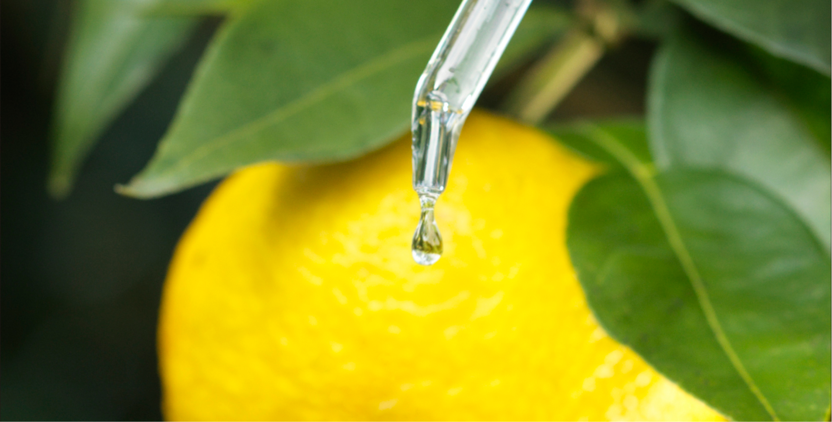 Ingrediente: Combinación de aceite de superalimentos (aceite de semilla de uva, aceite de rosa mosqueta, aceite de girasol)